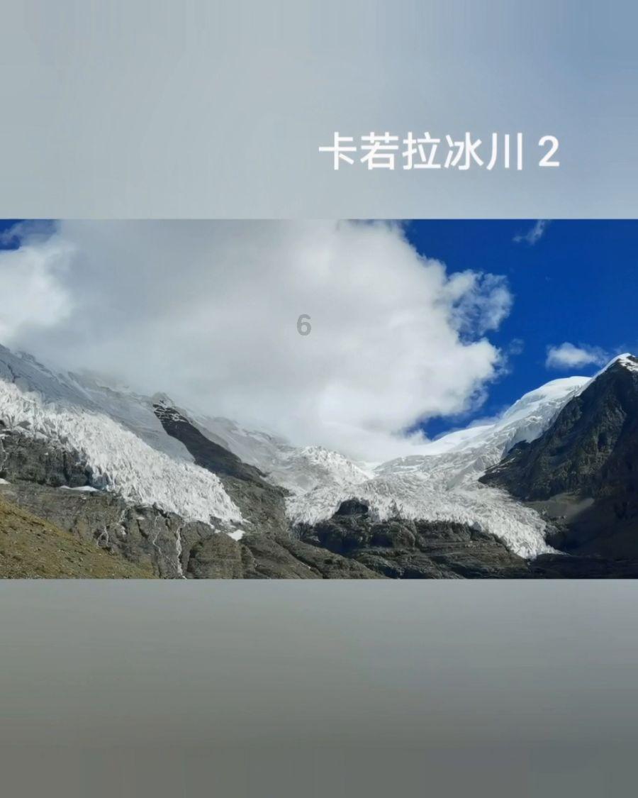照顾小兔宝宝